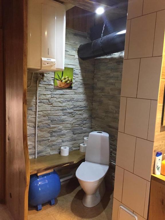 Leisi Ala-Laugu Holiday Home المظهر الخارجي الصورة